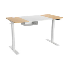 55 x 28 Inch Electric Standing Desk with USB Port