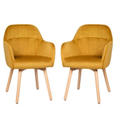 2 Pieces Mid-Back Accent Leisure Armchair Set