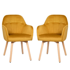 2 Pieces Mid-Back Accent Leisure Armchair Set