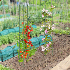 2-Pack Garden Trellis Tomato Cage with Adjustable Height
