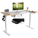 55 x 28 Inch Electric Standing Desk with USB Port