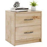 2 Drawer Nightstand with Storage for Living Room
