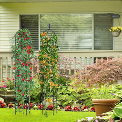 2-Pack Garden Obelisk Trellis for Climbing Plants