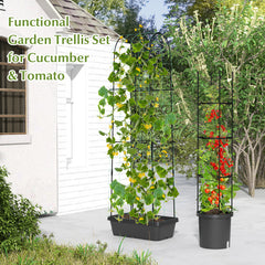 2 Pack Garden Planters with Trellis Cucumber Trellis Tomato Cage