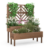 2-Tier Raised Garden Bed with Trellis