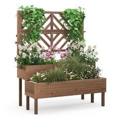 2-Tier Raised Garden Bed with Trellis
