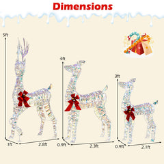 3-Piece Large Lighted Christmas Reindeer Family