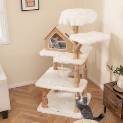 60 Inch Tall Solid Wood Cat Tree Modern Wooden Cat Tower with 2 Perches