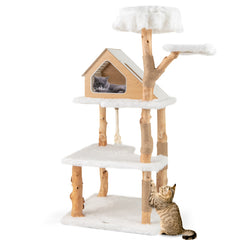 60 Inch Tall Solid Wood Cat Tree Modern Wooden Cat Tower with 2 Perches