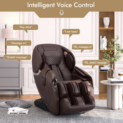 Relaxe Zero Gravity Shiatsu Massage Chair with Heating (SL-Track)