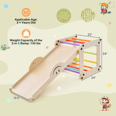 Climbing Triangle Ladder Toy Indoor Jungle Gym with Reversible Ramp