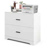 2-Drawer Lateral File Cabinet with Adjustable Hanging Bars for Home and Office