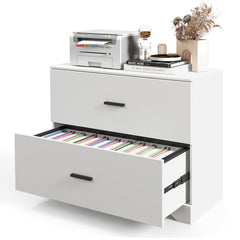 2-Drawer Lateral File Cabinet with Adjustable Hanging Bars for Home and Office
