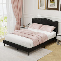 Queen Size Upholstered Bed Frame with Nailhead Trim Headboard