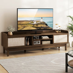 Sliding Door TV Stand for 65 Inch TV with Woven Doors