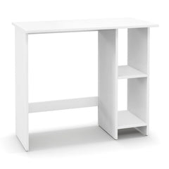 Small Computer Desk with Storage and Adjustable Shelf