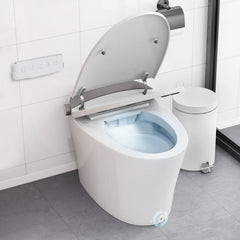 One-Piece Smart 1.16 GPF Elongated Bidet Toilet Seat with Night Light