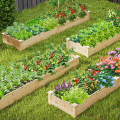 Wooden Raised Garden Bed with 2 Planter Boxes and Dividers