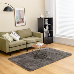 4 x 6 Feet Modern Fluffy Soft Shag Rug with Non-slip Grip Dots