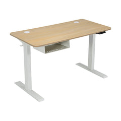 48-Inch Electric Standing Adjustable Desk with Control Panel and USB Port