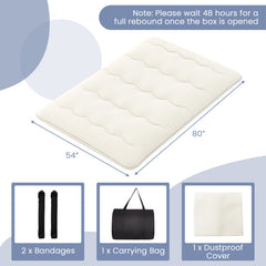 Queen/King/Twin/Full Futon Mattress Floor Sleeping Pad with Washable Cover Beige
