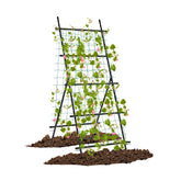 Garden Cucumber Trellis with PE-Coated Frame for Climbing Plants