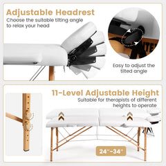 Portable Adjustable Facial Spa Bed with Carry Case