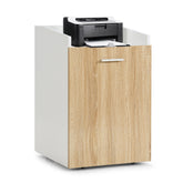 File Cabinet with 2 Drawers Mobile Filing Cabinet with Wheel for Letter Size