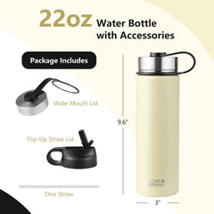 22 Oz Double-walled Insulated Stainless Steel Water Bottle with Straw Lid