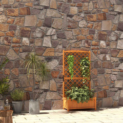 Planter Raised Bed with Trellis for Plant Flower Climbing