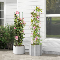 2-Pack Garden Trellis Tomato Cage with Adjustable Height