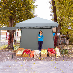 10x10 FT Instant Pop-up Canopy Folding Tent with Sidewalls and Awnings Outdoor