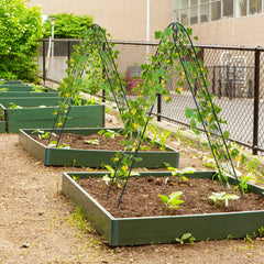 2 Pack 86.5 x 20 Inches Metal Garden Trellis for Climbing Plants