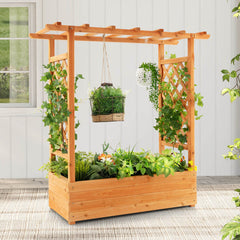 Raised Garden Bed with Trellis or Climbing Plant and Hanging Roof