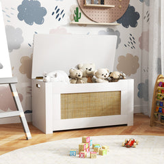 Kids Rattan Toy Storage Box with Flip Top Lid and Safety Hinge Handles