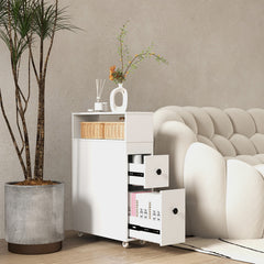 Single Bathroom Vanity with 2 Drawers and 1 Door