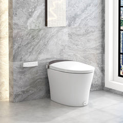 One-Piece Smart 1.16 GPF Elongated Bidet Toilet Seat with Night Light