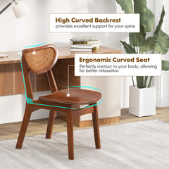 Wooden Dining Chair Set of 2 with Breathable Mesh Cane Backrest