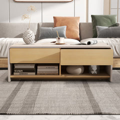 Home Coffee Table with 2 Drawers and 2 Storage Shelf