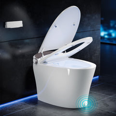 One-Piece Smart 1.16 GPF Elongated Bidet Toilet Seat with Night Light