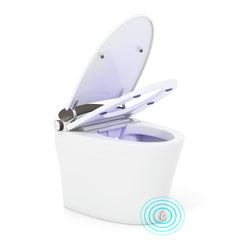 One-Piece Smart 1.16 GPF Elongated Bidet Toilet Seat with Night Light